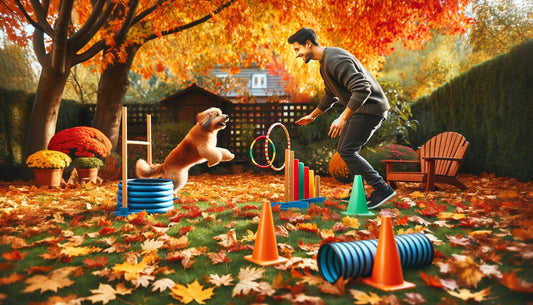 Autumn Adventures: Safe and Fun Outdoor Activities for You and Your Pet