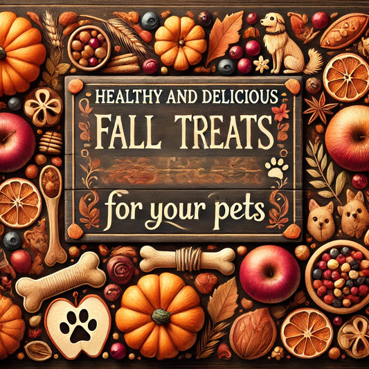 Healthy & Delicious Fall Treats for Your Pets | Desert Pitties Guide