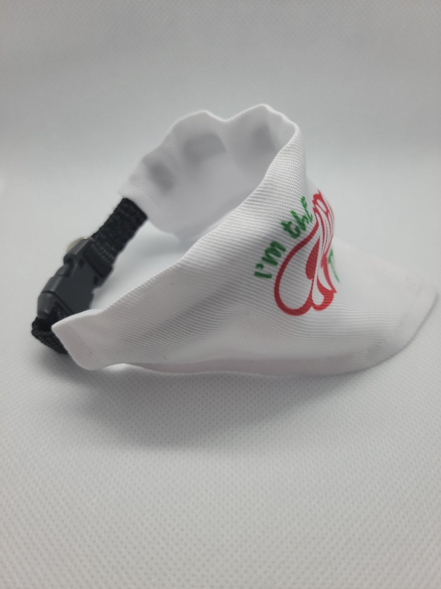 Nice Dog Bandana/Collar