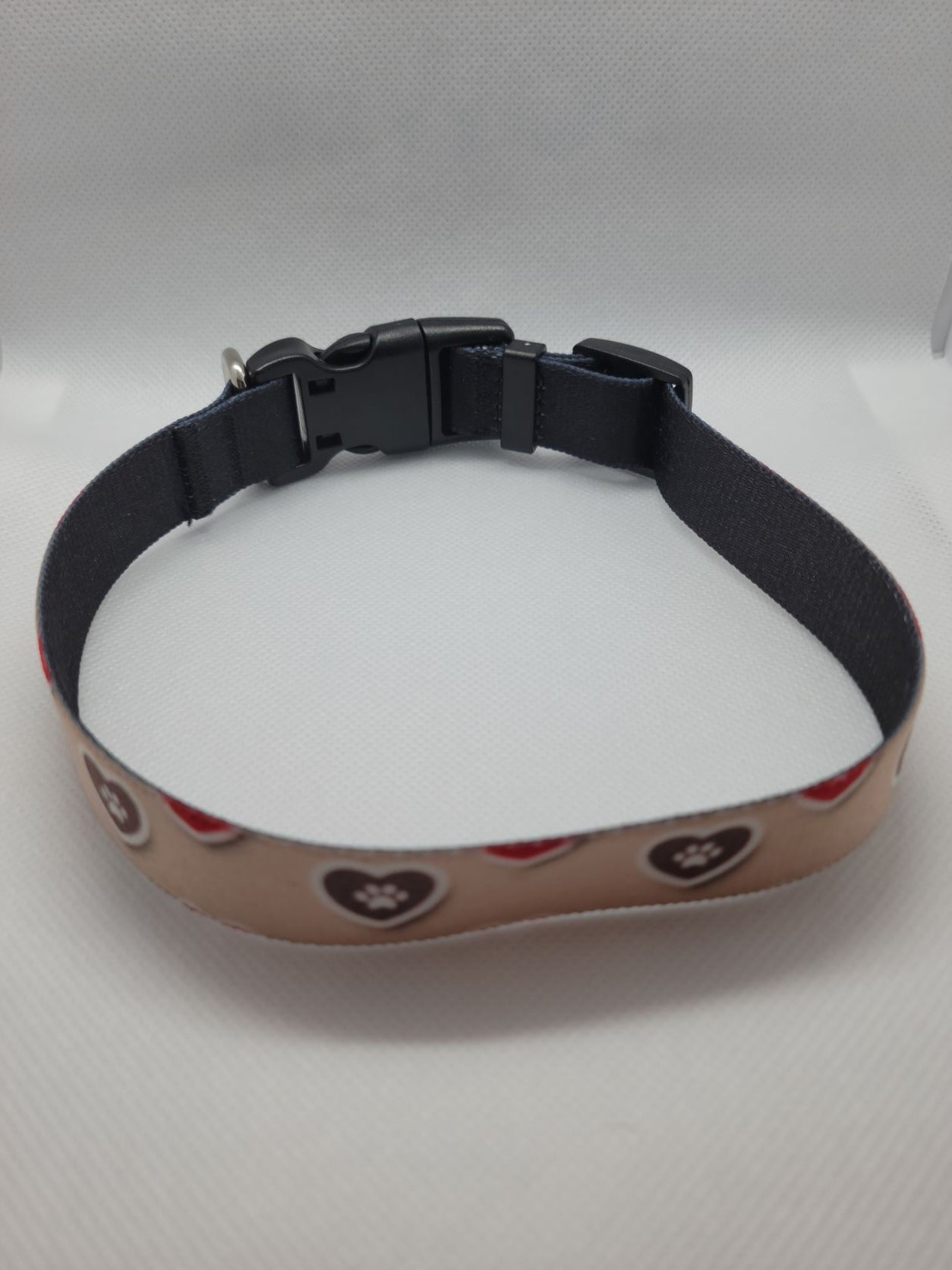 Light Heart & Paw Dog Collar