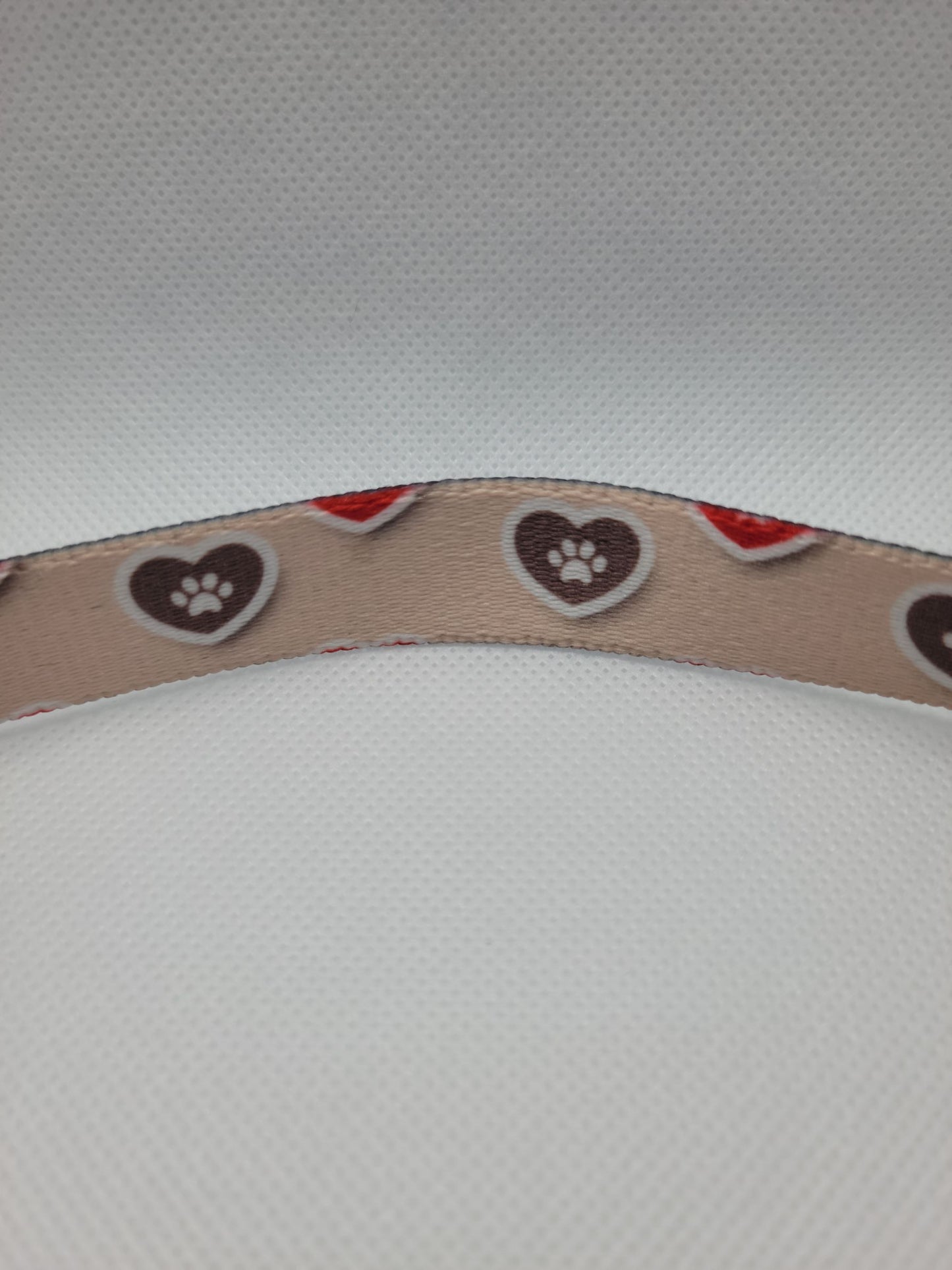 Light Heart & Paw Dog Collar