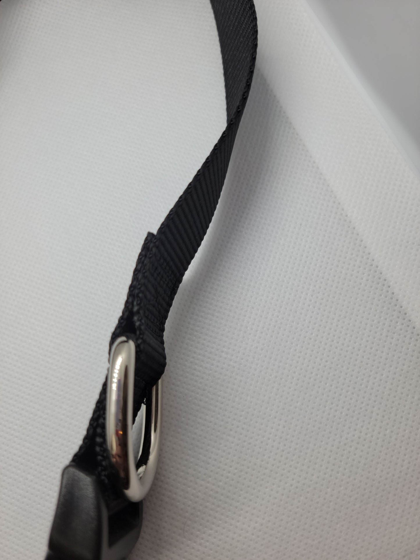 Bowl Dog Collar