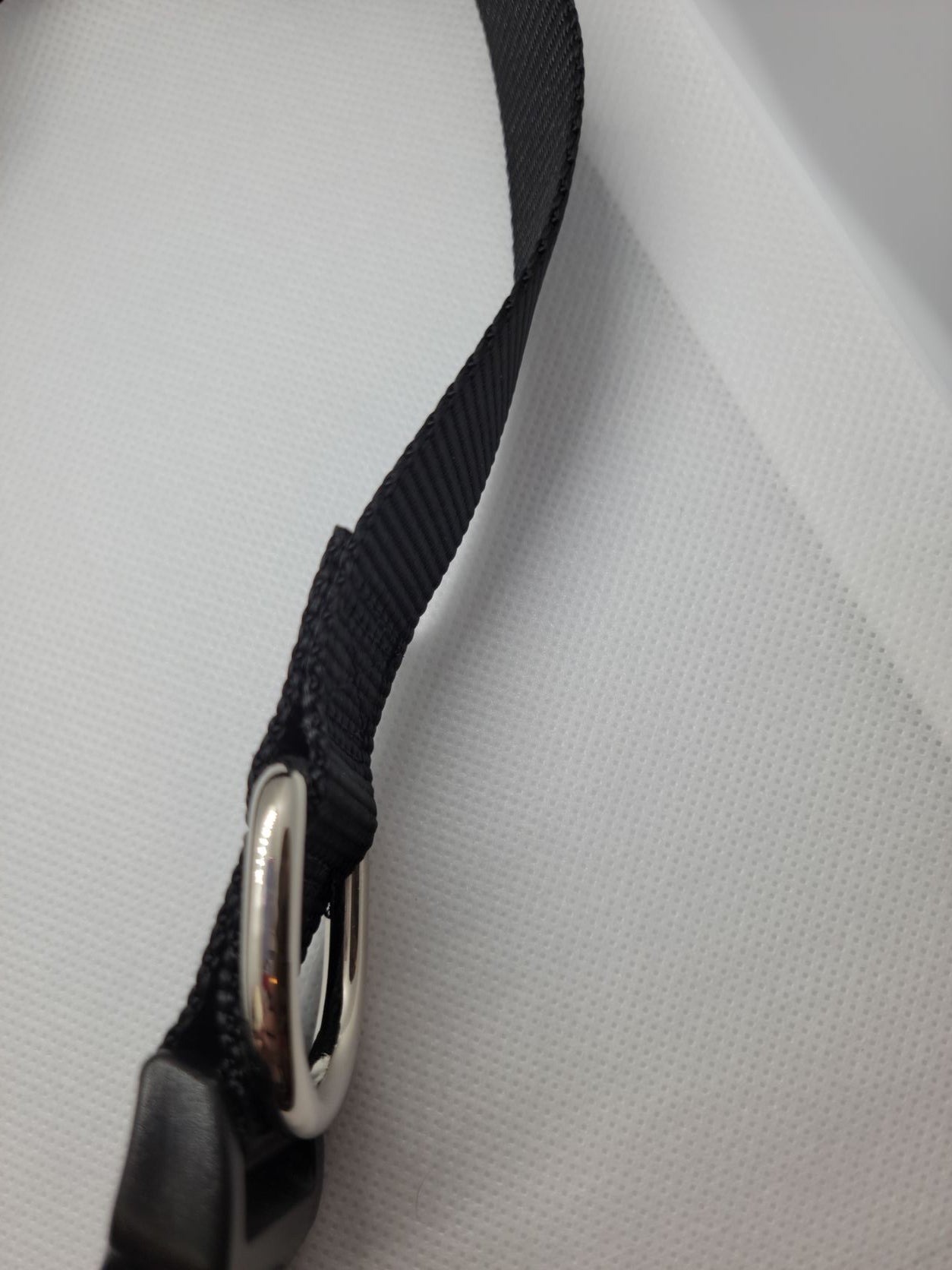 Light Heart & Paw Dog Collar
