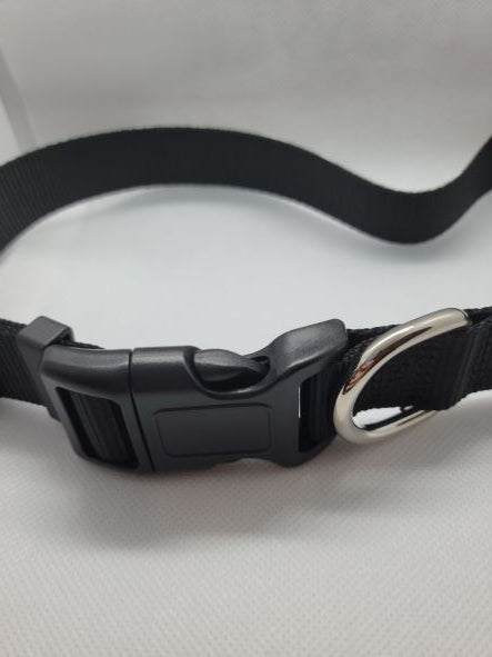 Light Heart & Paw Dog Collar
