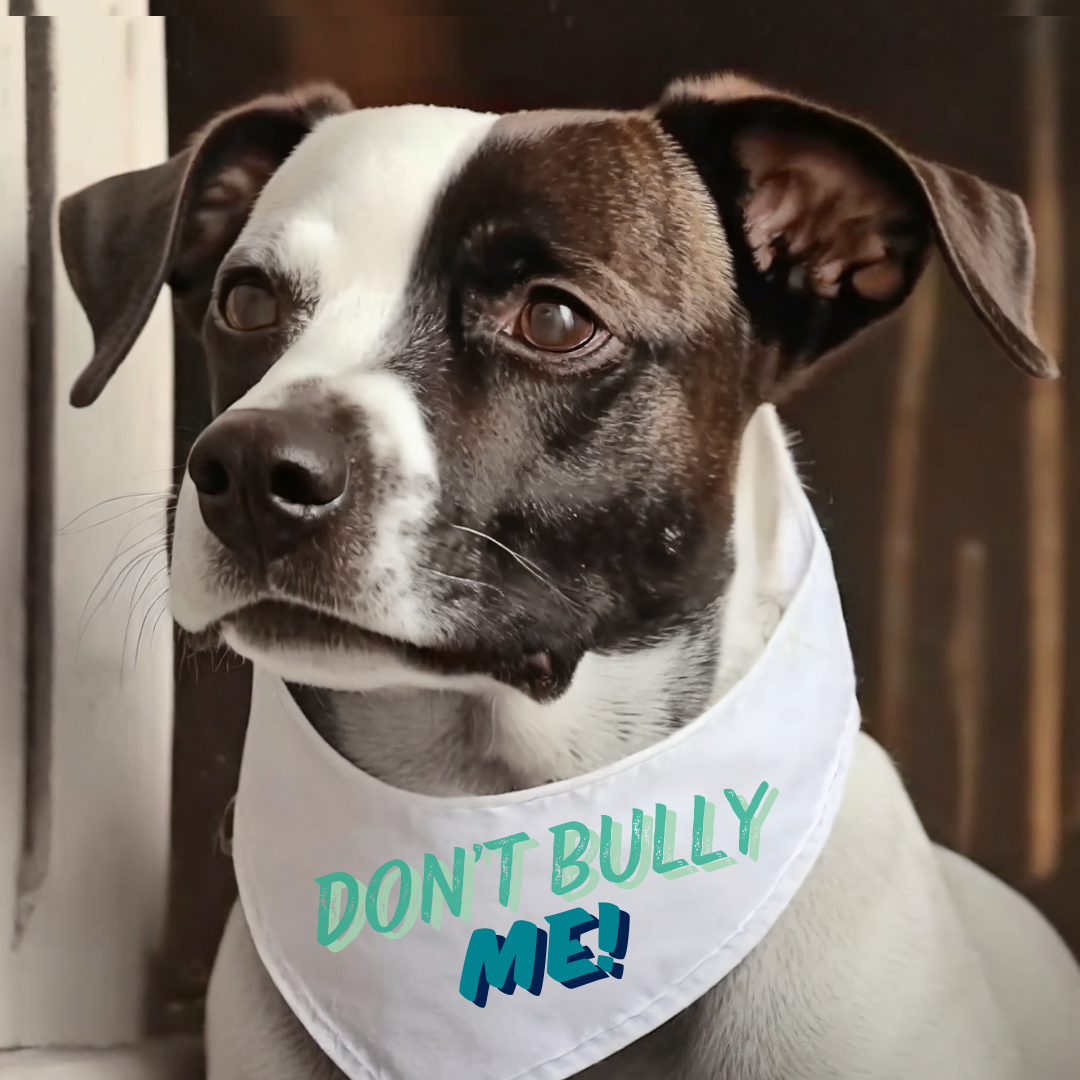 Don't Bully Me! Dog Bandana with Collar – 70s Retro Style for Bully Breed Pride