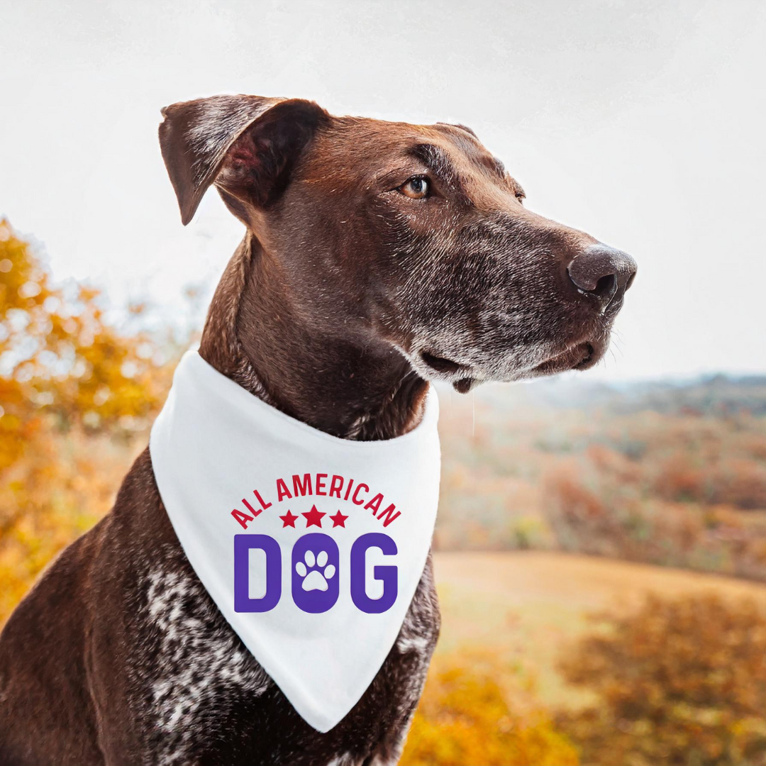 All American Dog Bandana/Collar