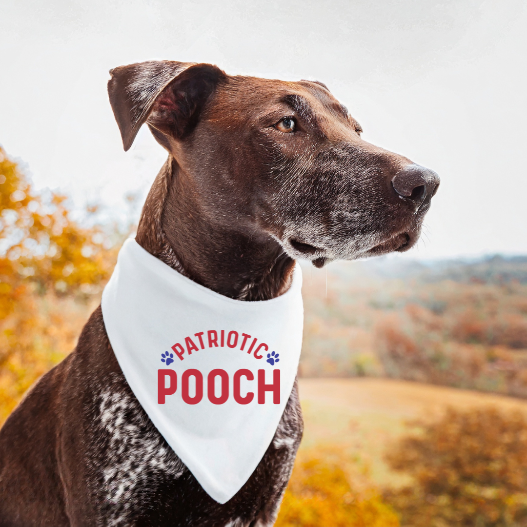 Patriotic Pooch Dog Bandana/Collar